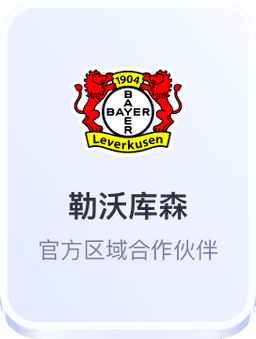 开云体育 勒沃库森官方区域合作伙伴