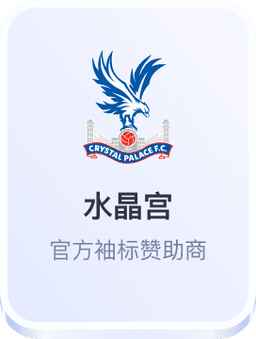 开云体育 水晶宫官方袖标赞助商